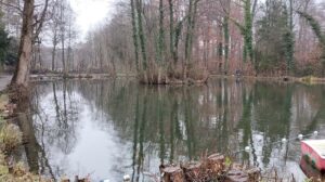 Angelpark Diepeschrath Ansicht Teich 2, bezeichnung Waldteich